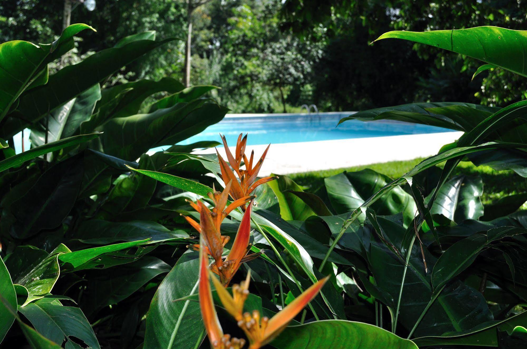Rancho Baiguate Hotell Jarabacoa Exteriör bild